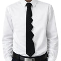 The CEO